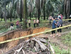 Laka Tambang di Kebun Sawit PT GSBL, Polres Bangka Barat Olah TKP