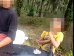 Wao Sadisnya !!!! Diduga PTPN lV Regional lll Kebun Sei Rokan Mempekerjakan Anak Dibawah Umur