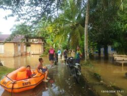 Dua Hari Diguyur Hujan, Ratusan Rumah Warga di 7 Desa Kecamatan Tambusai Terendam Banjir
