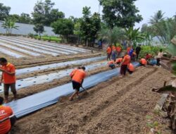 Tingkatkan Skill, Warga Binaan Lapas Pasir Pengaraian diberi Pelatihan Budidaya Tanaman Holtikultura