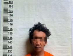 Polsek Siak Hulu Tangkap Pelaku Pencurian Buah Sawit dan Penganiayaan