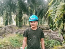 Sadis !! PT Riau Anugrah Sentosa Kebun Sotang , Sungguh Tidak Manusiawi Di Paksa Orang Buta Kerja Yang Kenak Serbuk Buah Sawit.