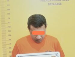 Polsek Rambah Hilir Gerak Cepat Amankan Dua Pelaku Diduga Mencuri Sapi