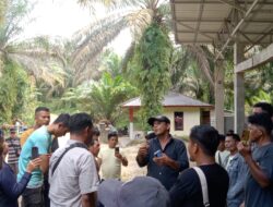 Pengurus Koperasi Yang Sah, Tamiang Raya Suruh Anggotanya Panen Supaya Dapat Gaji