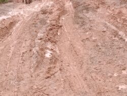 Masyarakat Mengeluh Melintasi Jalan Produksi Siabu Desa Teluk Aur.