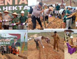 Bupati Rokan Hulu, Menghadiri Penanaman Jagung Serentak,Yang Di Wakili Oleh Asisten II Bertempat Di PT Sawit Asahan Indah (SAI).