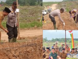 Camat Rambah Samo H,Amri S,Sos,MM, Hadir Dalam Kegiatan Penanaman Jagung 1 Juta Hektar, Awal Tahun 2025