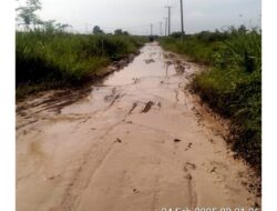 Jalan Penghubung di Tiga Desa di Kecamatan Tanjung Raya Rusak Parah