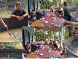 Kepala Desa Teluk Aur Muslim SH, Gelar Menghadiri Panen Perdana Ikan Lele, Kelompok Sari Mekar Jaya,Didusun Aur Kuning.