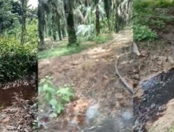Diduga limbah cair PMKS PT SKA Sengaja di Buang ke Aliran sungai Siabu Sumbek.