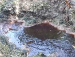 PT SKA Tidak Peduli Dengan Lingkungan Hidup Desa SEI kuning,Di harapkan Pemerintahan Kabupaten Rokan Hulu Menyelesaikan Permasalahan ini