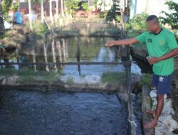 Dibalik Tingginya Tembok, Lapas Banjar Masin Berikan Ilmu Kemandirian Budidaya Lele Bagi Warga Binaan