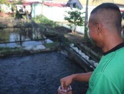 Ciptakan  Kemandirian dan Bekal Bagi Warga Binaan, Lapas Banjarmasin Kembangkan Budidaya Lele