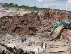 HLP Pasir Panjang Diserbu Penambang dan Dikuasi Kebuan Sawit Bersenjatakan Alat Berat