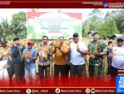 Dukung Swasembada Pangan, Bupati Rohul Anton, S.T, M.M Hadiri Panen Raya Jagung Kuartal II.
