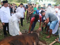 Lapas Pasir Pangaraian Hadiri Sholat Id dan Ikuti Pemotongan Hewan Kurban Pemkab Rokan Hulu