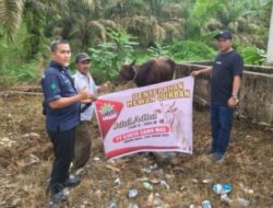PT Karya Samo Mas Berkurban, 7 Ekor Sapi Disalurkan Ke Masjid Dan Mushola