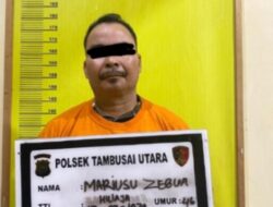 Polsek Tambusai Utara Amankan Pelaku Penganiayaan di Afdeling X PT. Torganda
