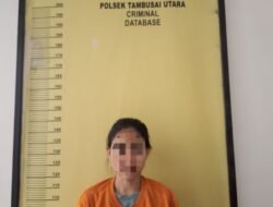 Gelapkan 36 JT Uang Bosnya, Seorang Karyawan BRILINK Ditangkap Polsek Tambusai Utara