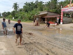Warga Desa Teluk Aur, Gelar Gotong Royong Penimbunan Jalan Berlubang Dengan Swadaya.
