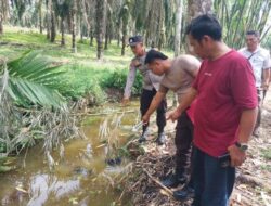 Balita Tenggelam di Kolam Belakang Rumah, Polsek Tandun Lakukan Penanganan Cepat