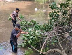 Antisipasi Banjir, Kapolsek Rambah Samo Ajak Puluhan Personil Bersihkan Bantaran Sungai II Bersama Masyarakat Desa Teluk Aur.