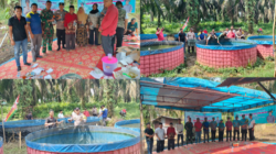 Direktur Bumdes Aur Sejahtera Desa Teluk Aur, Gelar Panen Ikan Lele, Bersama Kelompok Tani Sari Mekar Jaya Berjalan Lancar.