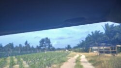 Diduga Serobot Kawasan Hutan Lindung,Kebun Sawit 40 Hektar di Desa Nadi Bom Waktu Hukum