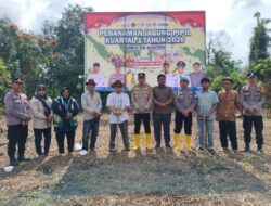 Kapolsek Ipda Sharlose Mesra SH, Bersama Direktur Bumdes Teluk Aur Tanam Jagung Pipil Kuartal 1 Tahun 2026 Berjalan Lancar.