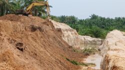 Anggota DPRD Rohul di Duga Bengkingi Galian C di Desa Ngaso,