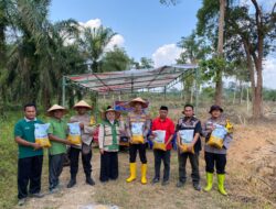 Kapolsek Rambah Samo, Pimpin langsung Kegiatan Penanaman Jagung Serentak Kuartal 1 Tahun 2026 di Desa Sei Salak.