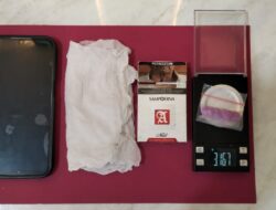 Grebek Tempat Karaoke, Polsek Tambusai Utara Tangkap Seorang Wanita, Amankan Enam Butir Pil Ekstasi