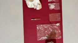 Polsek Kunto Darussalam  Ringkus Kurir Sabu di Kebun Sawit Pagaran Tapah, Sita 9,32 Gram Barang Bukti