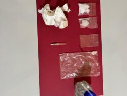 Polsek Kunto Darussalam  Ringkus Kurir Sabu di Kebun Sawit Pagaran Tapah, Sita 9,32 Gram Barang Bukti