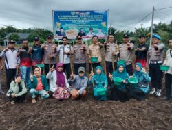 Polsek Tambusai Utara,Bersama Direktur BUMDES Perkuat Ketahanan Pangan melalui Penanaman Jagung Kuartal II di Desa Mahato Sakti.