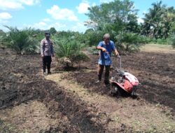 Polsek Tambusai Utara Turun Langsung Mengawal Ketahanan Pangan di Desa Pagar Mayang