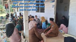 Kades Teluk Aur Muslim SH, Dampingi Posyandu di Dusun Aur Chandra, Cek Kesehatan Sekaligus Pemberian Makanan Tambahan (PMT) berjalan lancar.