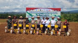 Kunjungan Kerja Wakapolda Riau, Pimpin Penanaman Jagung di Rokan Hulu,Tegaskan Strategi Polri Hadapi Tantangan Era Digital