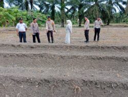 Dukung Ketahanan Pangan, Polsek Tambusai Utara Siapkan Lahan Tanam Jagung di Desa Rantau Sakti