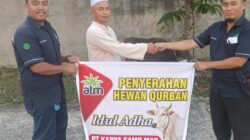 PT,Karya Samo Mas (KSM) Salurkan Bantuan 7 Ekor Sapi Qurban di Masjid, Kemuliaan Saling Berbagi di Hari Raya Idul Adha 1447 H/2026 M.