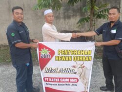 PT,Karya Samo Mas (KSM) Salurkan Bantuan 7 Ekor Sapi Qurban di Masjid, Kemuliaan Saling Berbagi di Hari Raya Idul Adha 1447 H/2026 M.