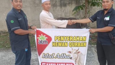 PT,Karya Samo Mas (KSM) Salurkan Bantuan 7 Ekor Sapi Qurban di Masjid, Kemuliaan Saling Berbagi di Hari Raya Idul Adha 1447 H/2026 M.