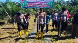 Kapolsek Rambah Samo, Pimpin Langsung Pananaman Jagung Kuartal II di Desa Marga Mulya Seluas 1,5 Hektar, Dukung Ketahanan Pangan Nasional.