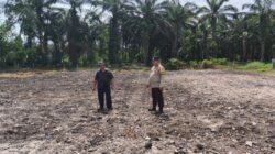 Polsek Tambusai Utara Perkuat Swasembada Pangan Nasional Lewat Persiapan Lahan Jagung di Desa Bangun Jaya
