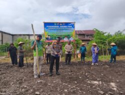 Polsek Tambusai Utara  Dukung Swasembada Pangan, Melalui Penanaman Jagung Kuartal II di Desa Bangun Jaya.