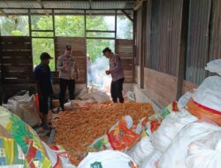 Polsek Tambusai Utara,Dukung Ketahanan Pangan Melalui Pengecekan Pemimpilan Jagung Nasional di Desa Mahato.