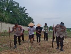 Polsek Ujung Batu, Tanam Jagung 1 Hktr, Dukung Swasembada Pangan di Desa Ujung Batu.