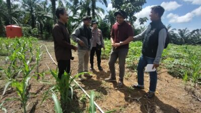 Tenaga Ahli Biro SDM Polda Riau, Bersama Personil Polsek Rambah Samo, Cek Ketahan Pangan Wujudkan Polisi Cinta Petani.
