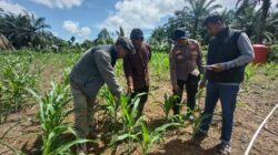 Polsek Rambah Samo Terima Kunjungan Staf Tenaga Ahli Biro SDM Polda Riau,Dalam Rangka Pengecekan Ketahanan Pangan di Desa Marga Mulya.