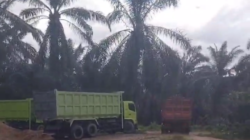 Kapolsek Ujung Batu Tindak Lanjuti Keberadaan Galian C di Desa Pematang Tebih di Duga  Tidak Memiliki Izin.